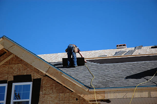 Roof Moss and Algae Removal in Elton, LA