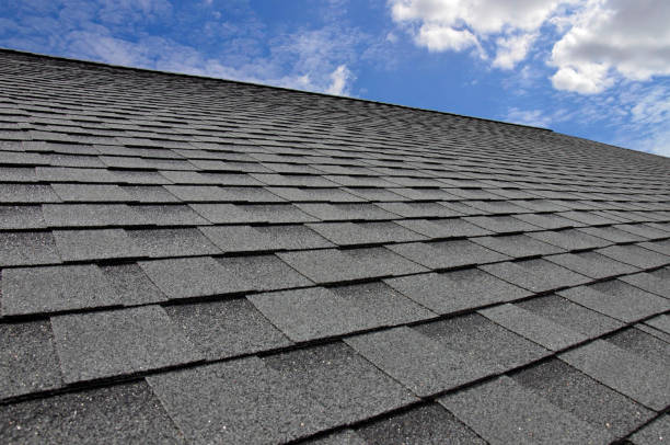 Reliable Elton, LA Roofing service Solutions